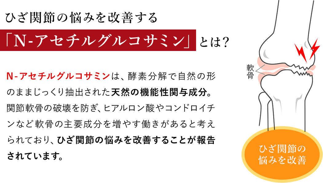 ひざ関節の悩みを改善するN-アセチルグルコサミンとは?